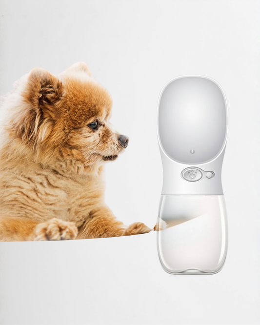 Pet Water Cup Outdoor Portable Water Bottle